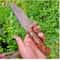 Camping Hunting Knife With Walnut Wood Grip Leather Sheath 0