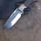 Outdoor Survival Knife With Ebony Wood Grip Eagle Engraved Steel Blade 3