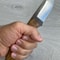Artisan Woodworking Knife With Silverberry Handle Razor Sharp Edge 7