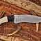 Outdoor Survival Bowie Knife With Elegant Camel Bone Handle 0