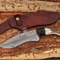 Outdoor Survival Bowie Knife With Elegant Camel Bone Handle 3