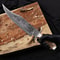 Juan Padillo Style Bowie Knife Damascus Steel Outdoor Collector Blade 6