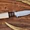 Full Tang D2 Steel Hunting Knife For Collectors Outdoorsmen 2