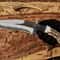 Handmade D2 Hunting Blade With Exotic MultiMaterial Handle 1