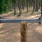 Hand Forged Konda Sword High Carbon Steel With Rosewood Handle Leather Sheath 2