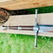 Full Tang Carbon Steel Long Sword Handmade Medieval Style Collectible Piece 3