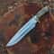 18 Inch Handcrafted Bowie Knife High Carbon Steel With Stag Handle Brass Guard 1