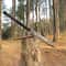 Premium Handmade Collector Spear With High Carbon Steel Head Leather Sheath 1