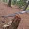 30 Inch Handcrafted High Carbon Steel Sword With Rosewood Grip Display Piece 2
