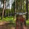 Handcrafted Viking Axe With Rosewood Grip Artisan Steel Blade Decorative Piece 1