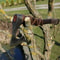 Norse Inspired Carbon Steel Axe With Rosewood Handle 1