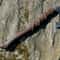 Norse Inspired Carbon Steel Axe With Rosewood Handle 3