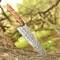 Handcrafted Damascus Steel Chef Knife With Wood Handle Professional Cooking Knife 0