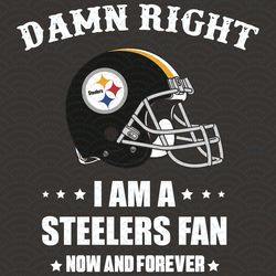 damn right i am a steelers fan now and forever svg, sport svg, damn right svg