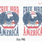 Free Bird America 1776 Png, America Png, America 1776 Png, 4th of July Png, Patriotic Png, Retro America, Bald Eagle Png, American Eagle Png.jpg