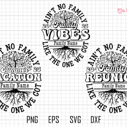aint no family like the one we got bundle svg, family bundle svg, family reunion svg