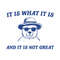It Is What It Is And It Is Not Great Meme SVG.jpg