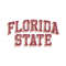 Florida State NCAA SVG Cricut Digital Download.jpg