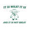 It Is What It Is And It Is Not Great SVG.jpg