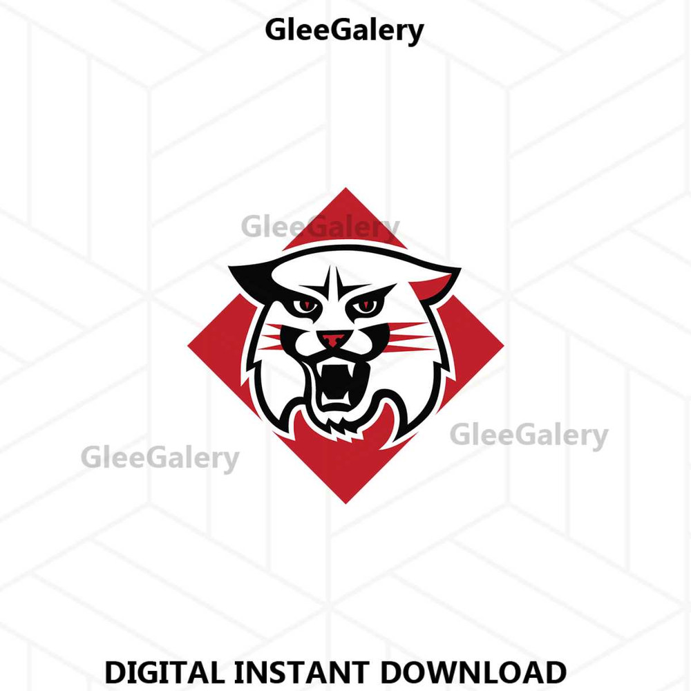 MR-glee-galery-21062024tncaam1-107202494738.jpeg