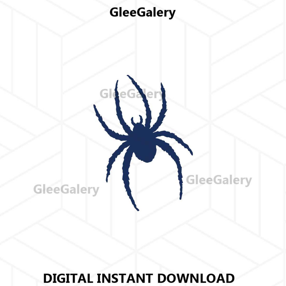 MR-glee-galery-21062024tncaam11-107202494840.jpeg