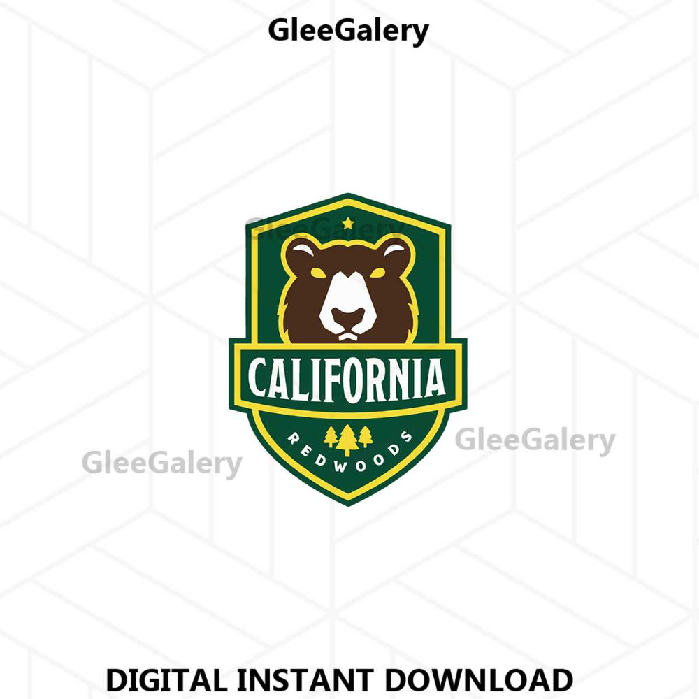 MR-glee-galery-21062024tpll8-1072024105844.jpeg