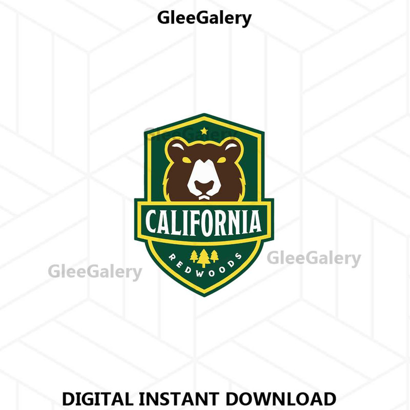 MR-glee-galery-21062024tpll8-1072024105844.jpeg