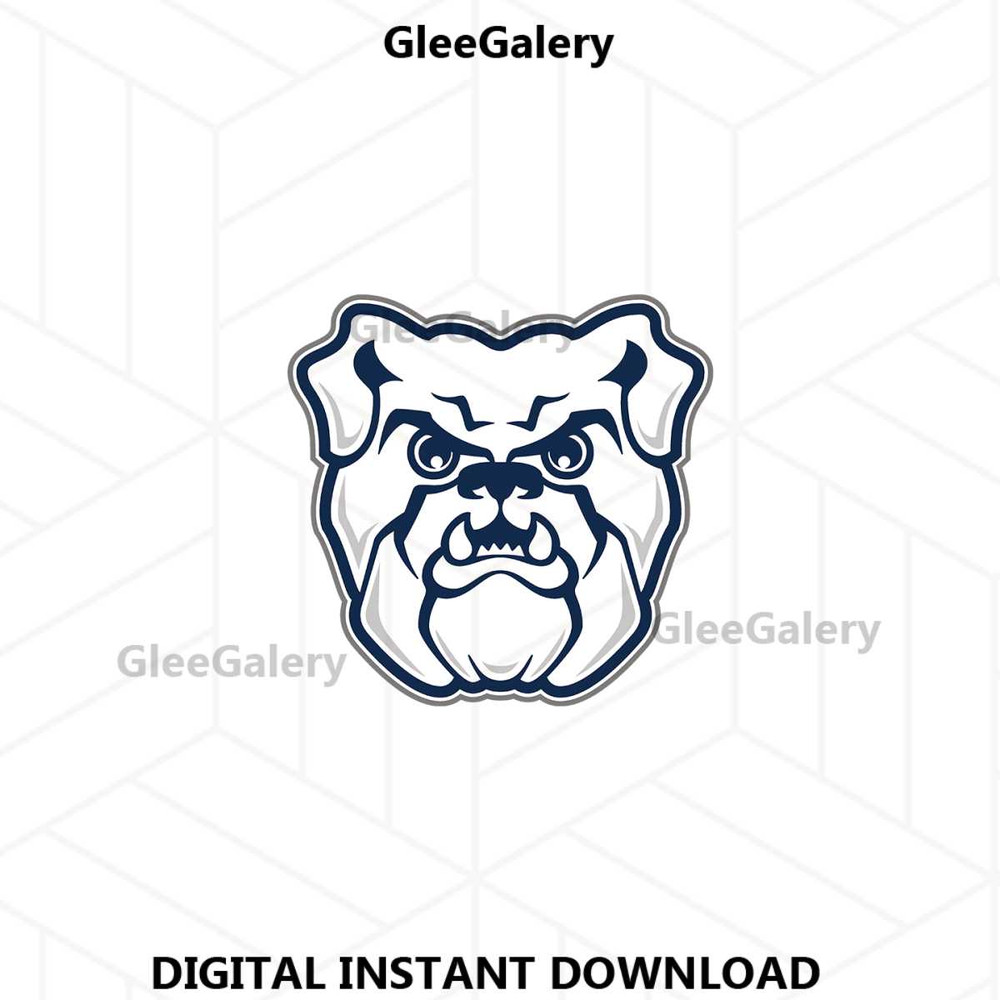 MR-glee-galery-26062024tnbe1-107202411940.jpeg