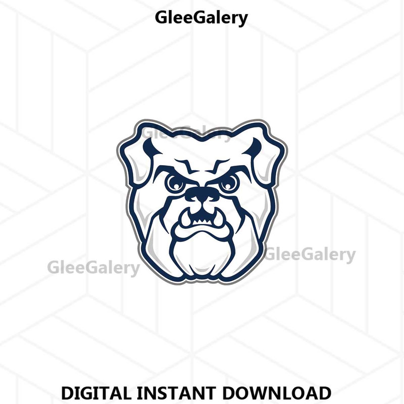 MR-glee-galery-26062024tnbe1-107202411940.jpeg