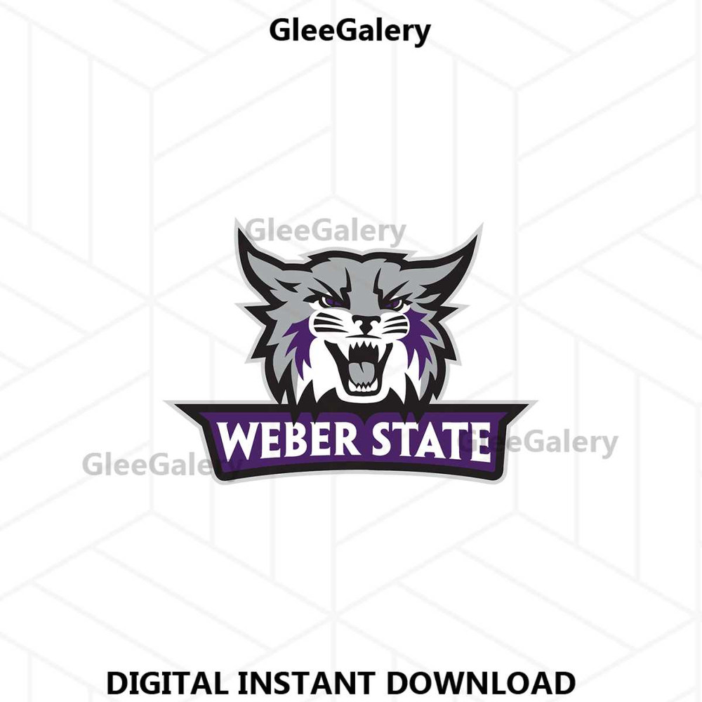 MR-glee-galery-26062024tnbsky10-1072024112227.jpeg
