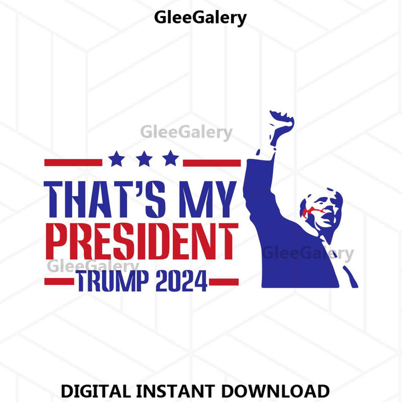 MR-glee-galery-050724hn167-187202417953.jpeg