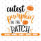 Cutest pumpkin in the patch svg, Pumpkin svg, Vector, Cricut and Silhouette, Instant download.jpg