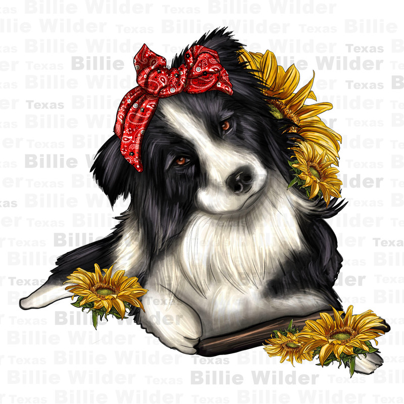 Border Collie with bandana png sublimation design download, hand drawn dog png, cute dog png, animal png, sublimate designs download.jpg