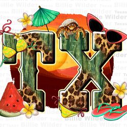 summer tx png sublimation design download, hello summer png, texas png, summer vibes png, sublimate designs download
