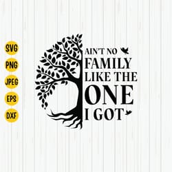 aint no family like the one i got svg, family quote svg, family reunion, family tree shirt design svg file for cricut.