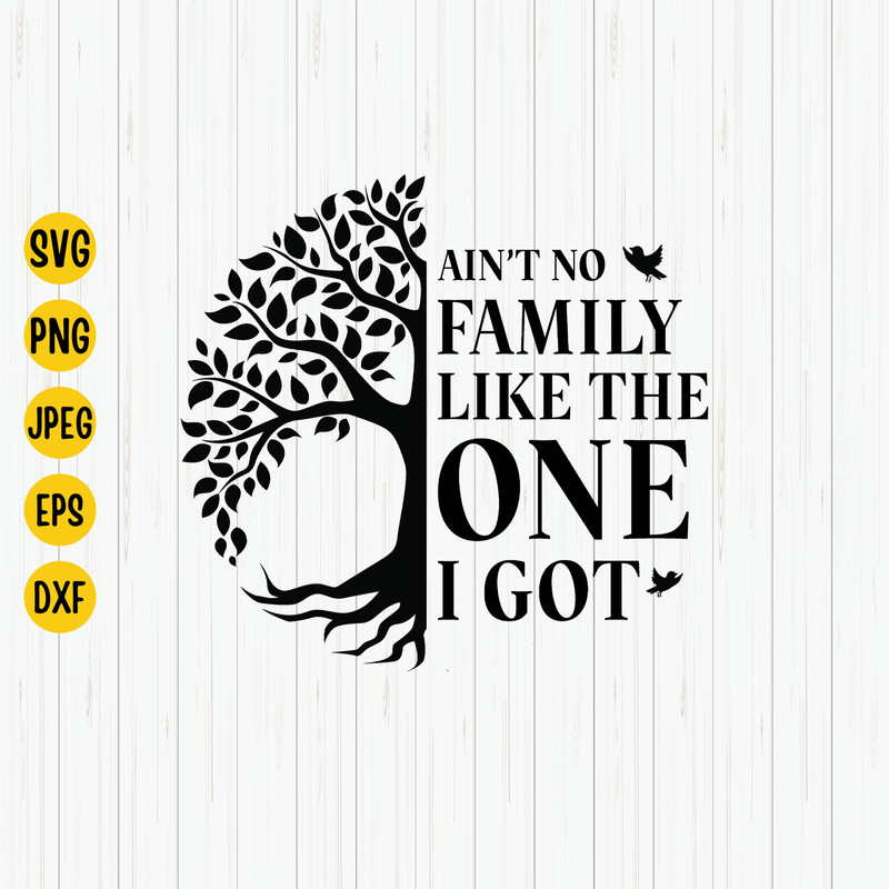 Ain't No Family Like The One I Got Svg, Family Quote Svg, Family Reunion, Family Tree Shirt Design Svg File for Cricut..jpg
