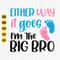 Either Way It Goes I'm The Big Bro, Gender Rreveal Svg, Baby Announcement Svg, Promoted To Big Brother, Big Brother Shirt Design, Cut File.jpg