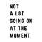 MR-thechiccache-687-212202410444.jpeg