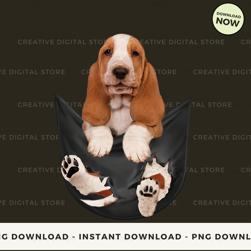 basset hound in pocket.jpg