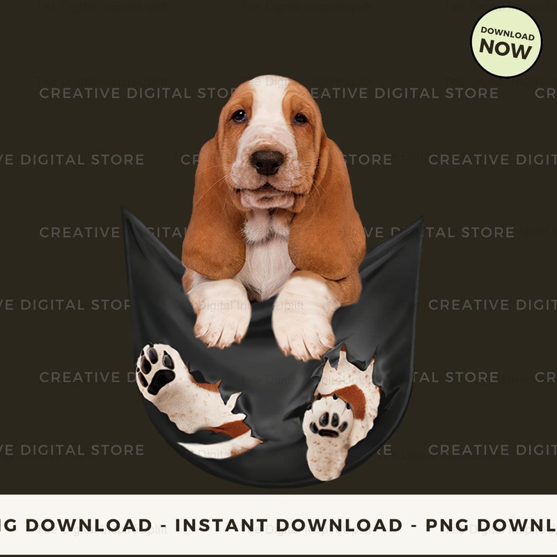 basset hound in pocket.jpg