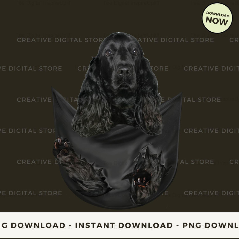 Black Cocker Spaniel Pocket.jpg