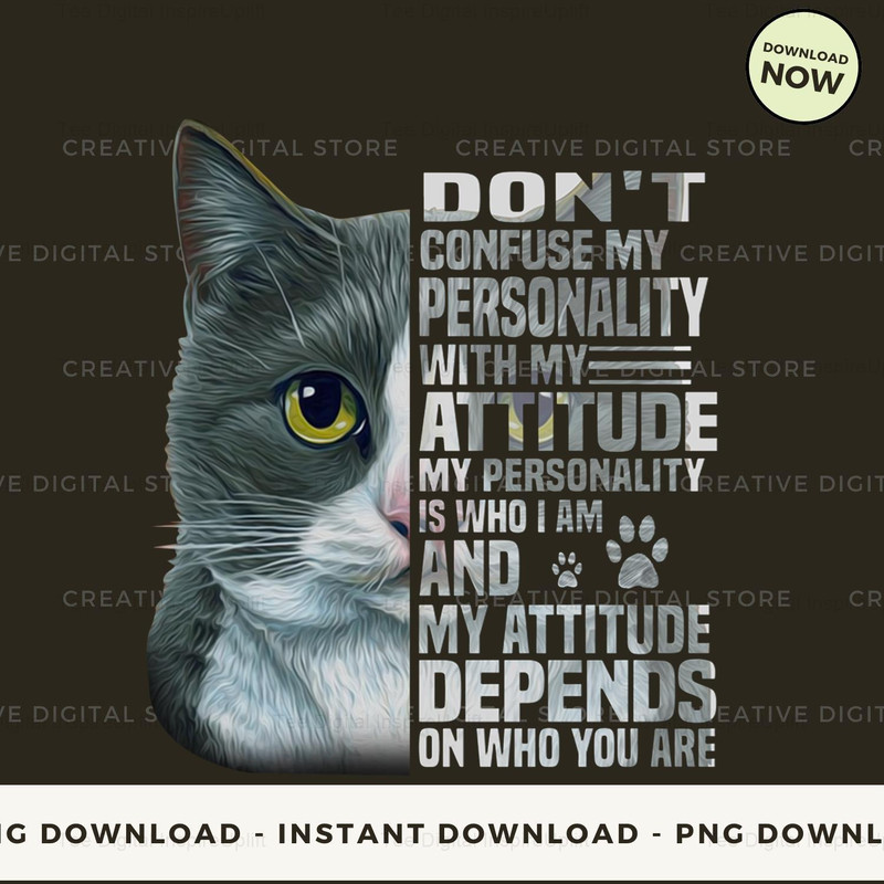 Cat don't confuse my personality with my attitude.jpg