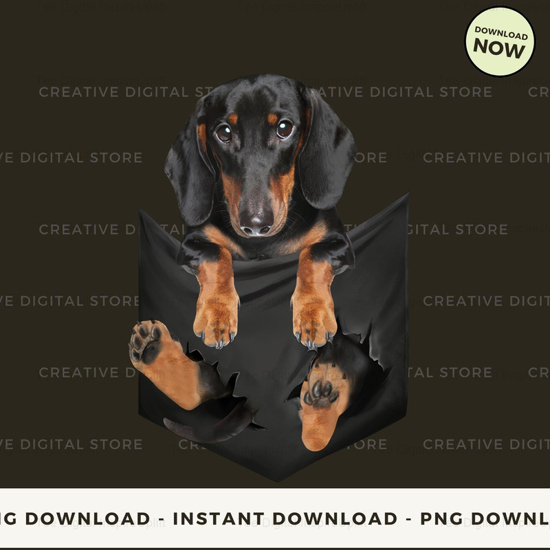 DACHSHUND POCKET.jpg