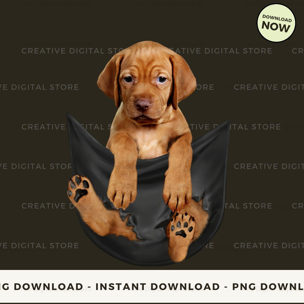 Vizsla Inside Pocket.jpg