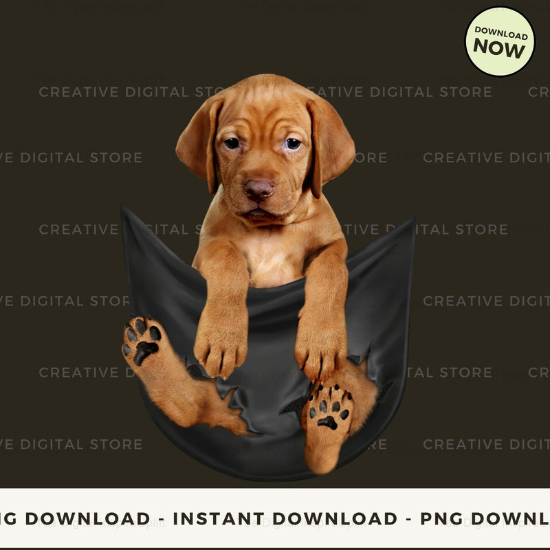 Vizsla Inside Pocket.jpg