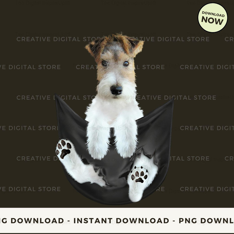 Wire Fox Terrier.jpg