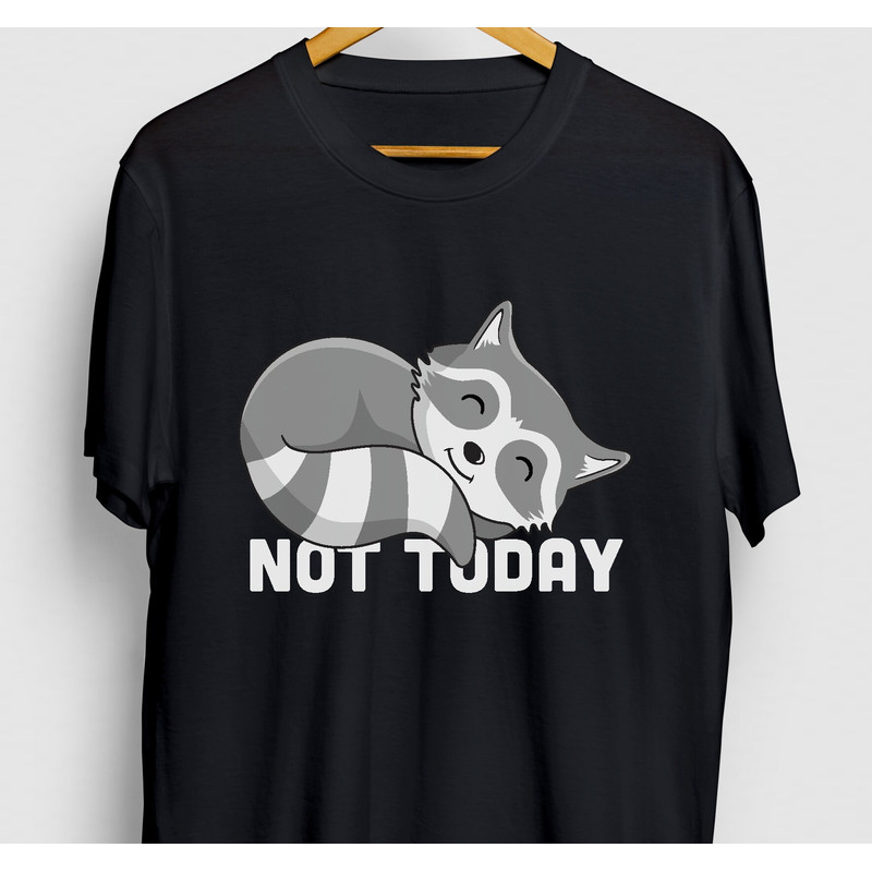 Racoon Gift, Funny Pet Shirt, Funny Animal tee, Racoon Shirt, Not Today Hoodie Youth Shirt Unisex T-shirt.jpg