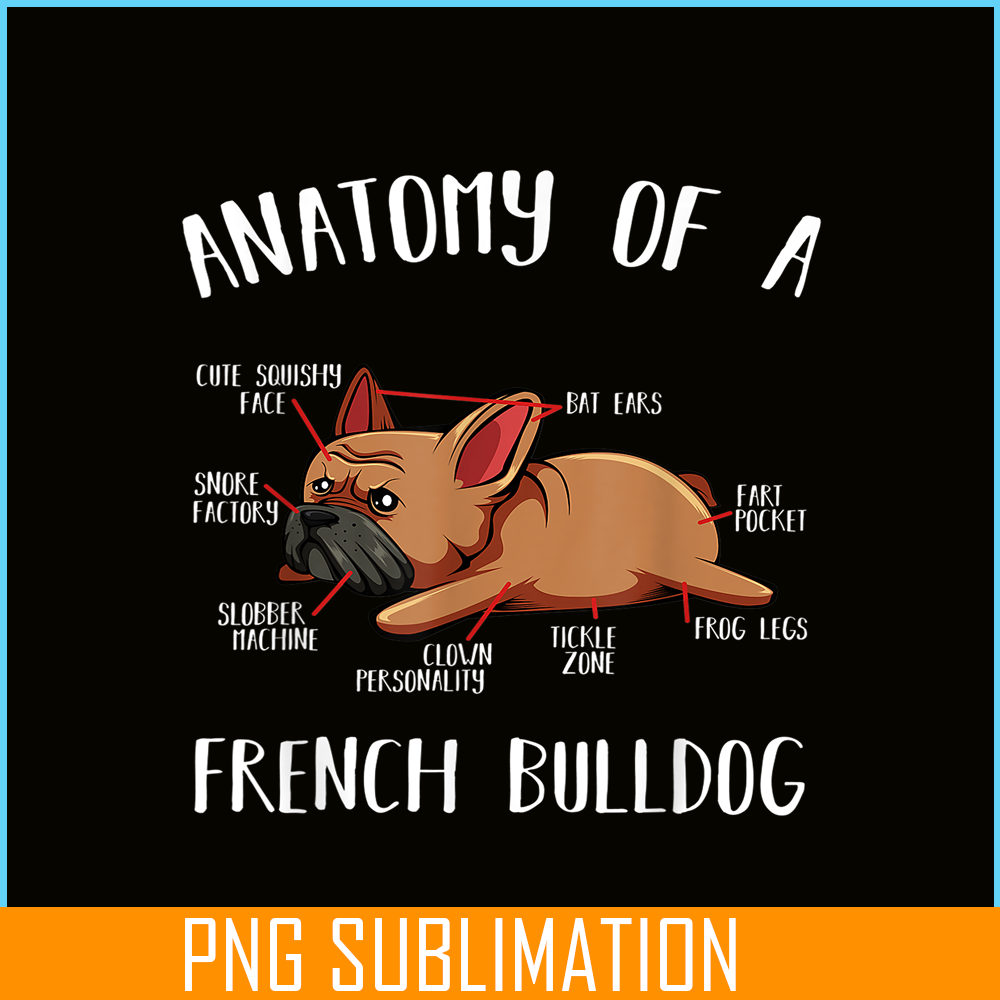 HL16102304-Anatomy Of A French Bulldog PNG Frenchie Dog PNG, Bulldog Mascot PNG.png