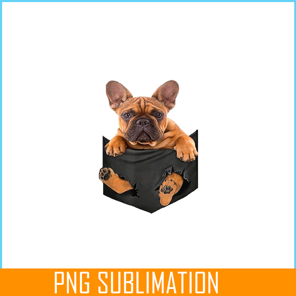 HL16102369-French Bulldog In a Pocket Mid PNG, Frenchie Dog Lover PNG, French Dog Artwork PNG.png