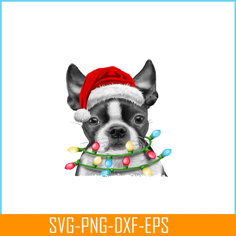 PNG141023106-Boston Terrier Santa Christmas Tree Lights Xmas Gifts Boys T-Shirt Png.png
